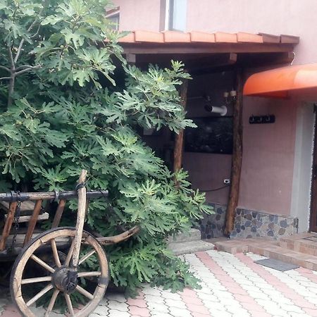 Arad Apartment - Airport Area المظهر الخارجي الصورة
